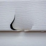 Cracks And Gaps Draw Pests Inside