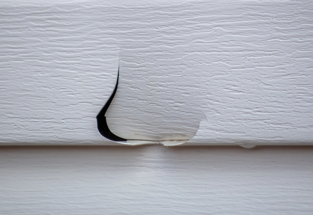 Cracks And Gaps Draw Pests Inside