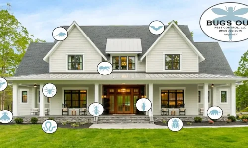 Bugs Out Pest Control House W Logo