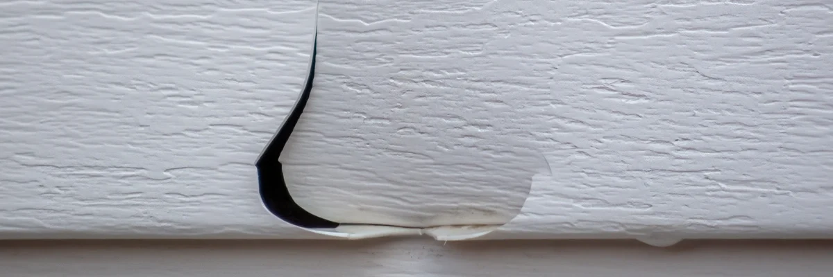 fix-holes-in-vinyl-siding-small-pest